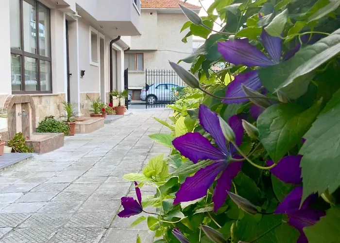 Casa de hóspedes Briz 4*